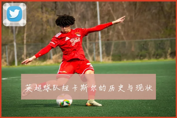 英超球队纽卡斯尔的历史与现状