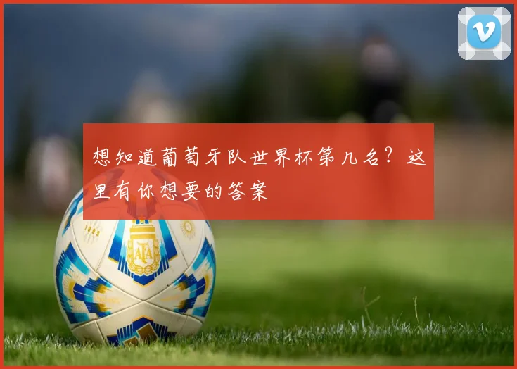 想知道葡萄牙队世界杯第几名？这里有你想要的答案